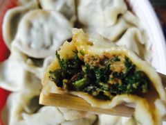 茴香肉饺子-岳姥姥饺子(泺文路店)