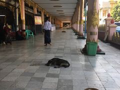 -ခြောက်ထပ်ကြီးရွှေသာလျောင်းဘုရားကြီး