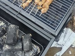 -黄河故道国家森林公园