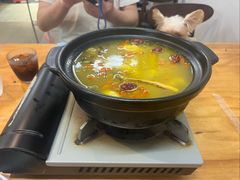 -金龙·打边炉(南京西路店)