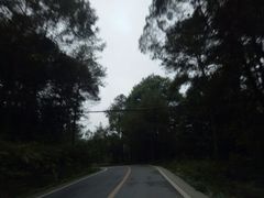 -铁山坪森林公园