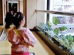 -北京王府井天伦王朝酒店