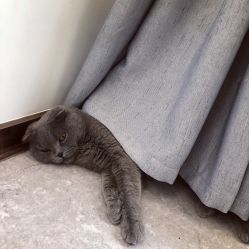 -蚂蚁造型沙龙