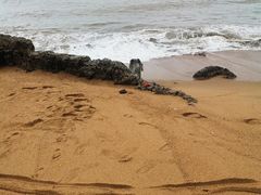 -白沙门生态公园