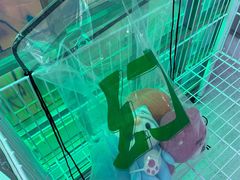 -幻物社(万象天地店)
