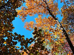 -北京西山国家森林公园