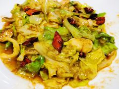 爆炒圆白菜-金掌勺·锅包肉(广渠门店)