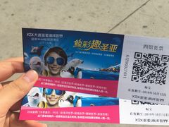 -大连圣亚海洋世界