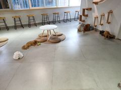 大堂-Heymao猫咖.咖啡厅(东门店)