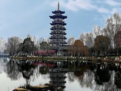 -洋湖国家湿地公园