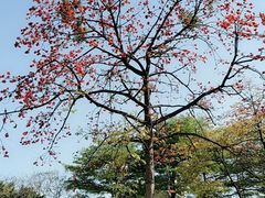 -晓港公园