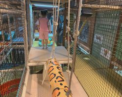 -卡通尼·Safari非洲探索乐园·生日会(金桥国际商业广场店)