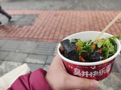 -黑色经典臭豆腐·湖南特产(坡子街店)