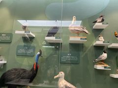 -国家自然博物馆