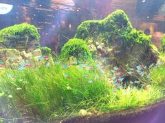 水族箱-远洋未来广场(育慧北路店)