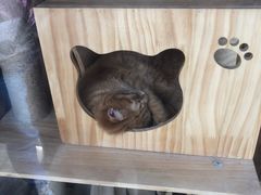 -边渡咖啡烘焙店(昙华林店)