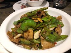 -青叶202都市餐厅(迪诺水镇店)