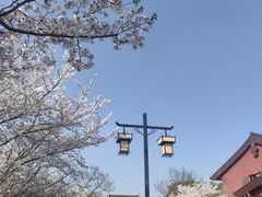 -广富林郊野公园