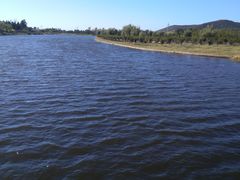 -羊亭河湿地公园