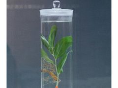 -重庆中国三峡博物馆(重庆博物馆)