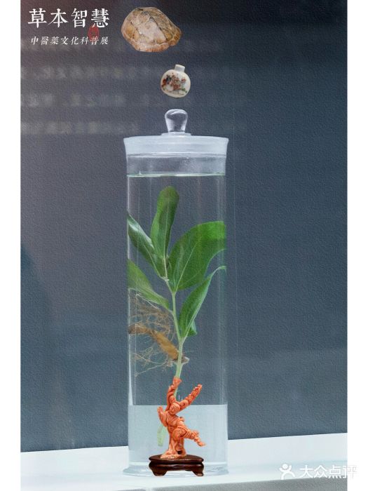 重庆中国三峡博物馆(重庆博物馆)图片