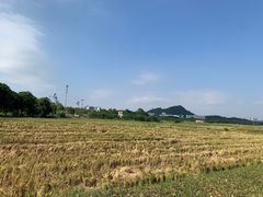 -光明小镇欢乐田园