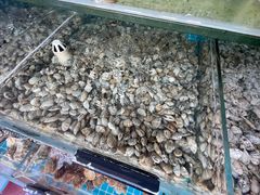 -北戴河庆山饭店·海鲜砂锅粥(北戴河黑石路店)