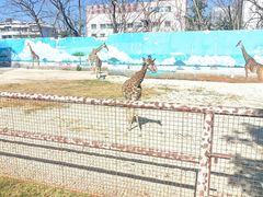 -昆明动物园