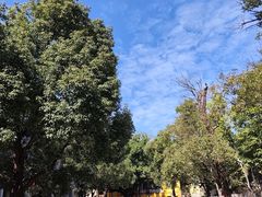 -广州市紫泥堂文化创意园景区