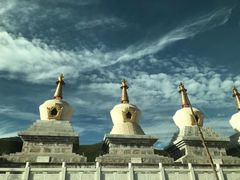 -黄河九曲第一湾