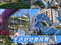 -南屏步行街