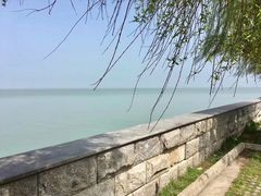 -湖鲜楼