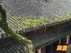-宁波市保国寺古建筑博物馆