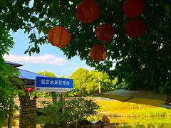 -水岸居湖景农家乐·阳澄湖大闸蟹