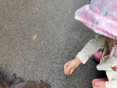-思味特(纬一路店)