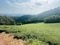 -敬亭山风景名胜区