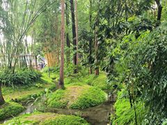 -成都市活水公园