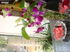 DSC03236-美丽心情蛋糕(江苏路店)