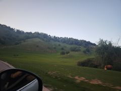 -关山牧场王师烤全羊