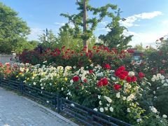 -大兴滨河森林公园