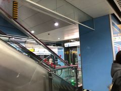 -大龙山(地铁站)