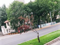 -九头鸟酒家(四道口店)