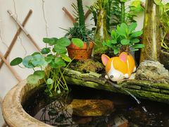 -茶米人台湾料理·精致快简餐