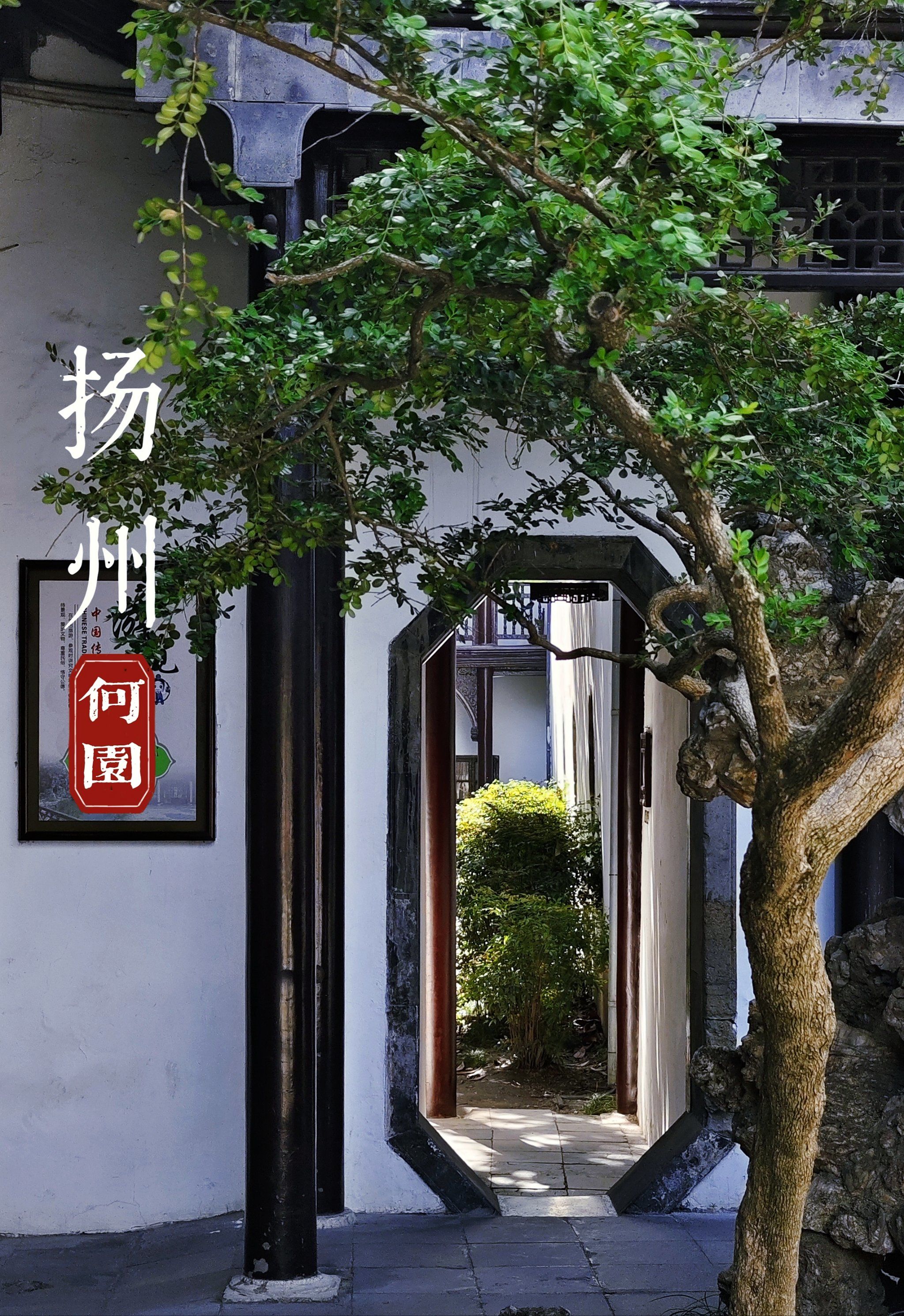 烟花三月下扬州~何园