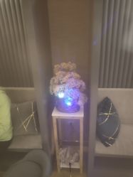 -栖SPA·ONDA ·海菲秀·皑皑科技美肤中心