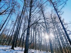 -长春莲花山滑雪场
