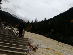 -黄龙山原始森林景区