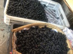 -城南综合水果批发市场(花园路店)