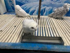 -成都浩海立方海洋公园