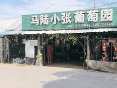 -马陆小张葡萄园农家乐
